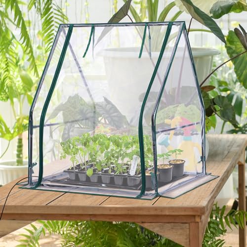 Mini Greenhouse for Indoor Outdoor: Ohuhu Tabletop Portable Green House with Waterproof Pad for Small Plants Nursery Germination, 36"x36"x42" Light Duty Cover Tent Humidity Dome Seedling Accessory