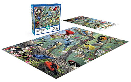 Buffalo Games - Hautman Brothers - Birds in an Orchard - 1000 Piece Jigsaw Puzzle