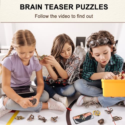 Brain Teaser Puzzles for Adults Disentanglement Puzzles Metal Wooden Brain Teaser Puzzle 16pcs Logic Metal Puzzle for Adult Kid Toy Lock Puzzles Gift for Adults Teenagers