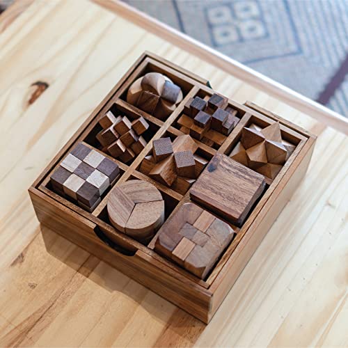 BSIRI 9 Puzzles in a Box - Wooden Brain Teaser Puzzles, 3D Puzzles for Adults, Educational Kids Games, Mind Puzzles for Adults and Brain Games for Kids, Ideal for Birthday Gifts and Patio Decor