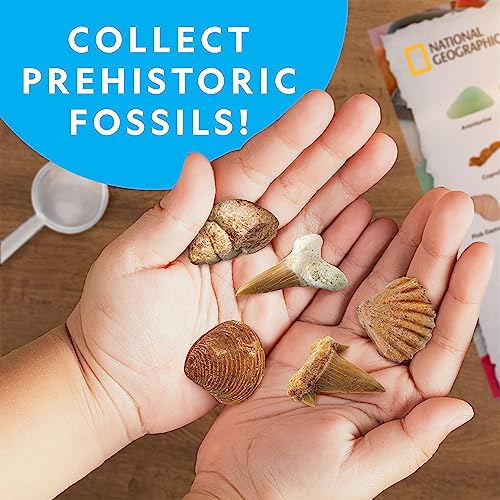 NATIONAL GEOGRAPHIC Rock Collection Box for Kids – 200 Piece Gemstones and Crystals Set Includes Geodes and Real Fossils, Rocks and Minerals Science Kit for Kids, A Geology Gift for Boys and Girls