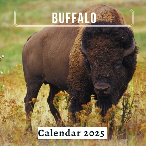 Buffalo Calendar 2025