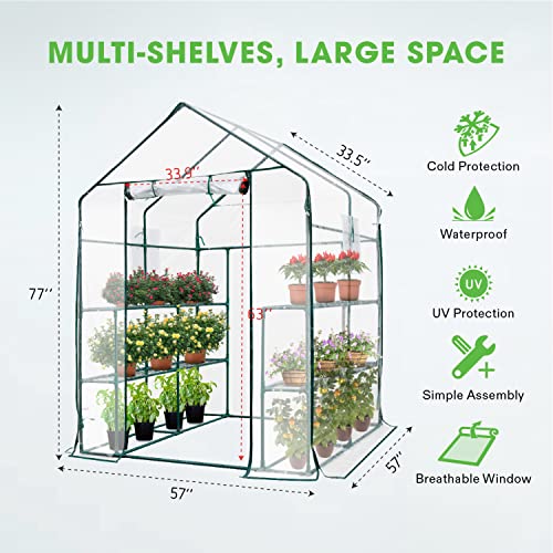 VIVOSUN 57x57x77-Inch Transparent Mini Walk-in Green House with Window and Anchor, Plant Garden Hot House 2 Tiers 8 Shelves, 4.7 x 4.7 x 6.4 FT