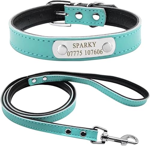 Didog Soft Leather Padded Custom Dog Collar and Leash Set with Personalized Engraved Nameplate,Fit Small Medium Dogs,Blue,XS Size