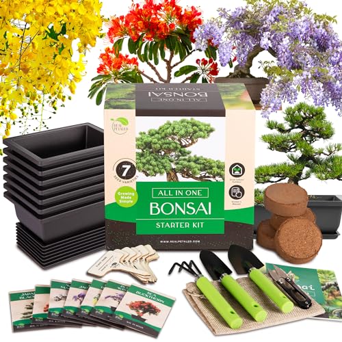 RealPetaled Bonsai Tree Starter Kit: Complete Bonsai Plant Growing Kit with 7 Types of Bonsai Tree Seeds Tools Soil Pots Trays - Japanese Grow Kit for Women and Men