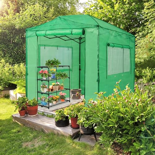 EAGLE PEAK 8x6 Portable Walk-in Greenhouse, Pop-up Indoor Outdoor Garden Green House, Zippered Doors and Windows, PE Cover, Green