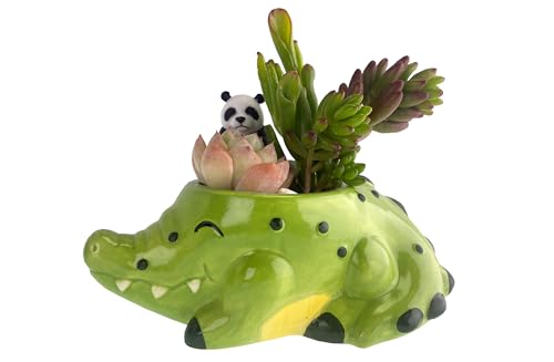 SWONVI Cute Animal Ceramics Planter Small Succulent Pot Alligator Shaped Plant Pot with Ceramic Trayfor Mini Plants Flower Cactus, Smooth Shiny Ceramic - Plants Not Included (1 PCS Alligator)