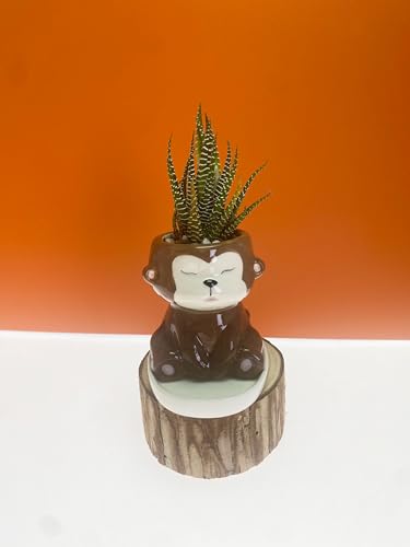 SWONVI Cute Animal Ceramics Planter Small Succulent Pot Cartoon Shaped Plant Pot for Mini Plants Flower Cactus, Smooth Shiny Ceramic - Plants Not Included (2 pcs Monkey)