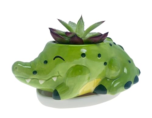 SWONVI Cute Animal Ceramics Planter Small Succulent Pot Alligator Shaped Plant Pot with Ceramic Trayfor Mini Plants Flower Cactus, Smooth Shiny Ceramic - Plants Not Included (1 PCS Alligator)