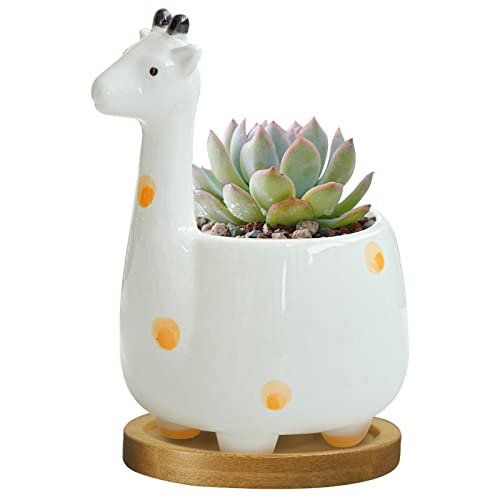 GeLive Giraffe Succulent Planter Indoor Tabletop Ceramic Plant Pot Kitty Ornament Animal Flower Decor Vase with Drainage Tray for Succulents or Mini Cactus