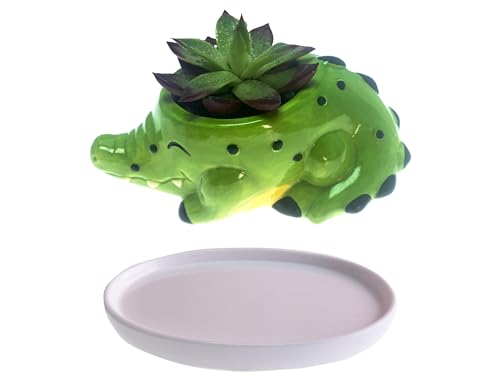 SWONVI Cute Animal Ceramics Planter Small Succulent Pot Alligator Shaped Plant Pot with Ceramic Trayfor Mini Plants Flower Cactus, Smooth Shiny Ceramic - Plants Not Included (1 PCS Alligator)