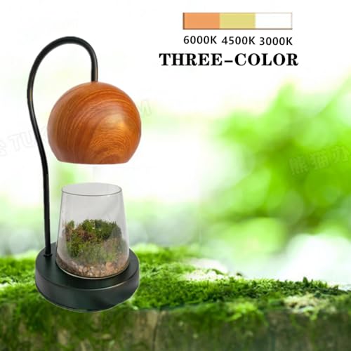 Tiny Plant Terrarium Modern Style Wood Grain DIY Kit Terrarium with Light for Succulent, Moss, Ferns Household Plant Tabletop Decoration Gardening Landscape Desk Lamp for Gardening Starter, Adults