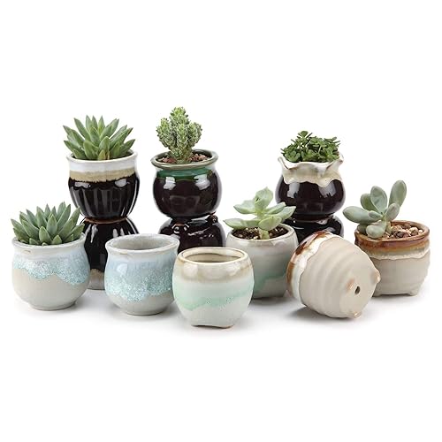 T4U Small Ceramic Succulent Pots with Drainage Set of 12, Mini Pots for Plants, Succulent Plant Gifts for Women, Tiny Air Plant Flower Pots Cactus Faux Plants Containers, Home and Office Decor