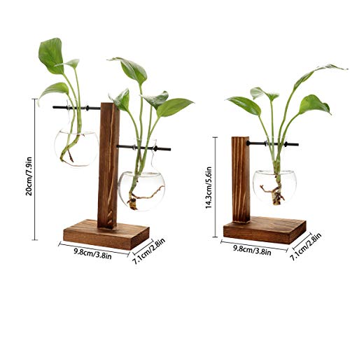 UWIOFF 2 Pack Plant Terrarium with Wooden Stand Air Planter Bulb Glass Vase Propogation Station for Hydroponics Plants Home Garden Office Decoration (3 Bulb Vase)