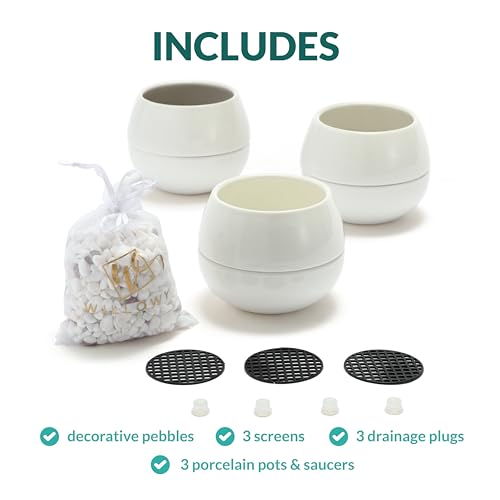 Willowy 3.5 Inch Small Succulent Pots - 3pk, Mini Succulent Pots, Ceramic Succulent Pots, Mini Ceramic Pots, White Succulent Pots, Small White Pots for Plants