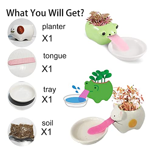 VERLIAN Mini Self Watering Succulent Pots, 1 Pack Animal Ceramic Plant Pot Container with Tongue & Drain Hole, Creative Small Cactus Flower Pot (Cat)