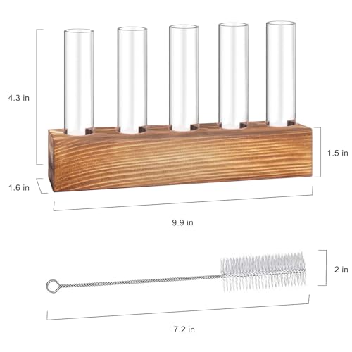 Renmxj Plant Propagation Station, Plant Terrarium with Wooden Stand, Plant Pots for Hydroponics, Small Birthday Gardening Gifts for Women Mom Plant Lovers Unique - 5 Glass Test Tubes Vases