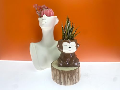 SWONVI Cute Animal Ceramics Planter Small Succulent Pot Cartoon Shaped Plant Pot for Mini Plants Flower Cactus, Smooth Shiny Ceramic - Plants Not Included (2 pcs Monkey)