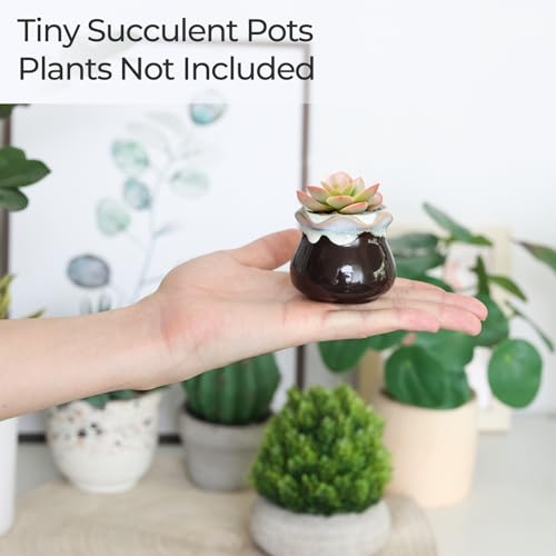 T4U Small Ceramic Succulent Pots with Drainage Set of 12, Mini Pots for Plants, Succulent Plant Gifts for Women, Tiny Air Plant Flower Pots Cactus Faux Plants Containers, Home and Office Decor