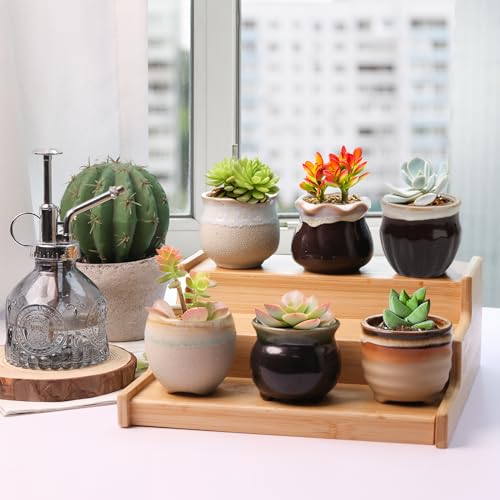 T4U Small Ceramic Succulent Pots with Drainage Set of 12, Mini Pots for Plants, Succulent Plant Gifts for Women, Tiny Air Plant Flower Pots Cactus Faux Plants Containers, Home and Office Decor