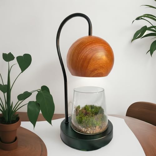 Tiny Plant Terrarium Modern Style Wood Grain DIY Kit Terrarium with Light for Succulent, Moss, Ferns Household Plant Tabletop Decoration Gardening Landscape Desk Lamp for Gardening Starter, Adults