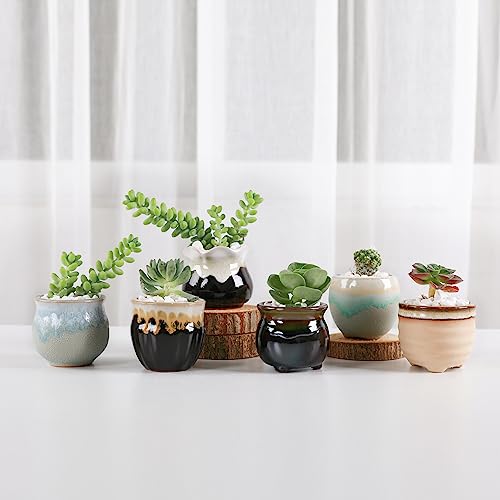 T4U Small Ceramic Succulent Pots with Drainage Set of 12, Mini Pots for Plants, Succulent Plant Gifts for Women, Tiny Air Plant Flower Pots Cactus Faux Plants Containers, Home and Office Decor