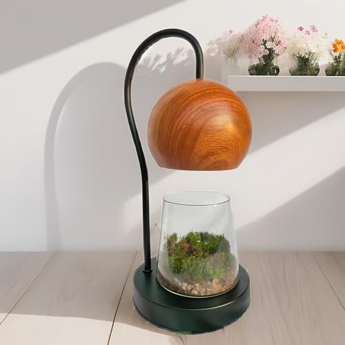 Tiny Plant Terrarium Modern Style Wood Grain DIY Kit Terrarium with Light for Succulent, Moss, Ferns Household Plant Tabletop Decoration Gardening Landscape Desk Lamp for Gardening Starter, Adults