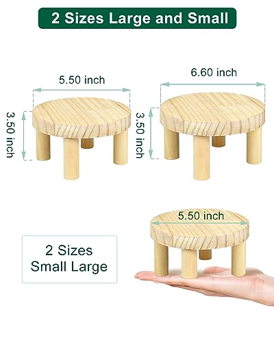 Small Wood Plant Stand Stool - 2 Pack Mini Wooden Plant Display Stand Stool, Round Modern Succulents Plant Stand Riser Holder, Flower Pot Wooden Shelf Stand, Garden Decorative Plant Stand Indoor Outdoor