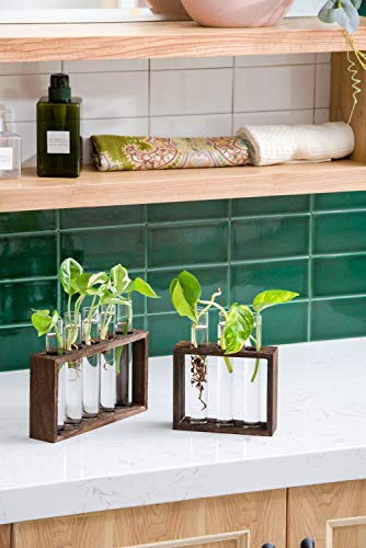 Mkono Wall Hanging Glass Planter Plant Terrarium Modern Flower Bud Vase in Wood Stand Rack Tabletop Terrarium for Propagating Hydroponic Plants, Home Office Decoration with 5 Test Tube, Medium, Brown