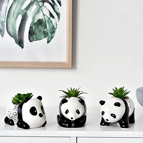 AASHDP Cute Animal Succulent Pots Bulk, Small Animal Succulent Planters for Indoor Plants, Mini Panda Flower Ceramic Pots Set of 3