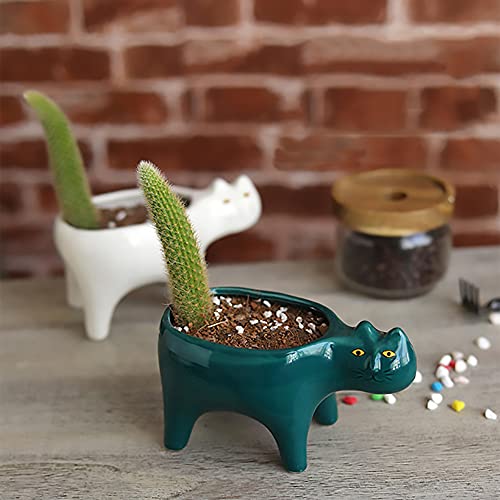 DIYOMR Cat Planter Animal Succulent Pots, Ceramic Cat Mini Flower Pots Cactus/Plants Containers for Home Office Desk Windowsill Decor, Plants Not Included (Dark Green)