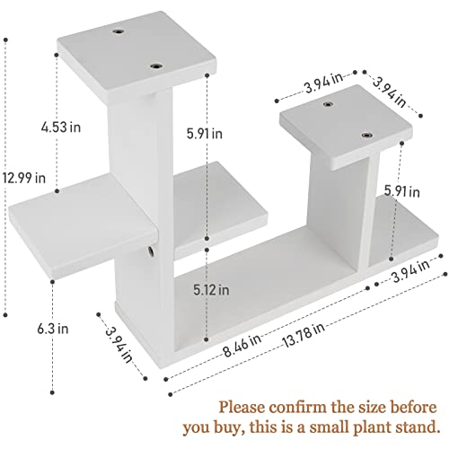 Exttlliy Wooden DIY Mini Tabletop Plant Stand Multi-Layer Concise Desktop Planter Holder for Home Office Decorative (White)