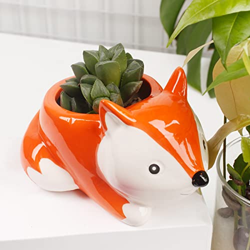 Mumutie Cartoon Fox Succulent Flower Pot, Ceramic Fox Shape Flower Pot, Cute Plant Decoration Flower Pot for Desk, Fun Plant Container, Home Desk Mini Animal Flower Pot Decoration