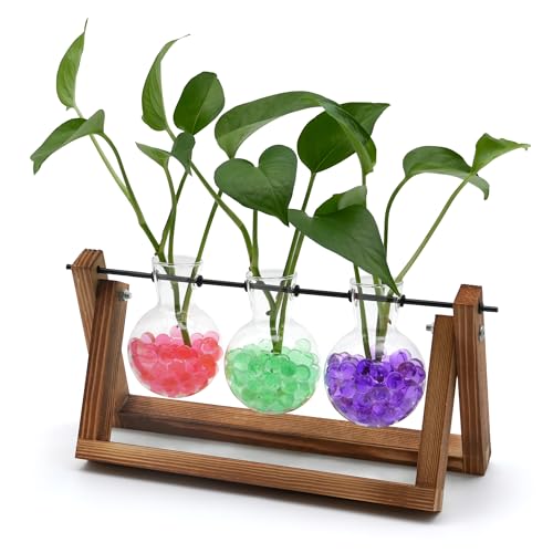 Plant Propagation Station with Wooden Stand,Plant Decor Birthday Gifts for Women,Christmas Planter Gifts for Plant Lovers,Plant Terrarium for Home Office Christmas Decor,Window Sill Decor-3 Bulb Vases