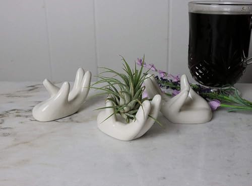 ourhommie 2 PCS Air Plant Holder Cute Ceramic Mini Hand Shape Stand Airplants Tillandsia Small Container Pot Plant Decorative Home Decor for Desk Table Shelf Window, White