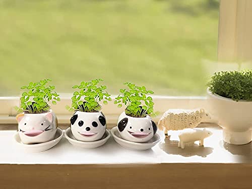 BLOSSOMLIFE Automatic Self Watering Animal Planter Creative Animal Tongue Cultivation DIY Mini Ceramic Plant Pots Desktop Decor (Cat) (Mini Ceramic Pot-01)