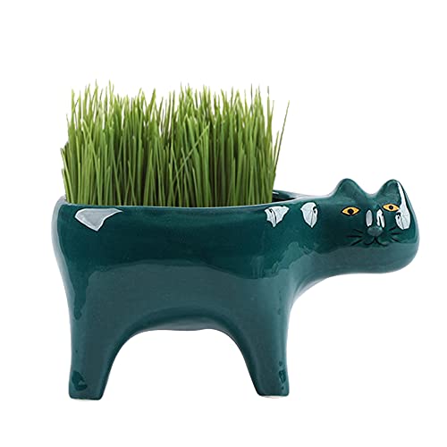 DIYOMR Cat Planter Animal Succulent Pots, Ceramic Cat Mini Flower Pots Cactus/Plants Containers for Home Office Desk Windowsill Decor, Plants Not Included (Dark Green)