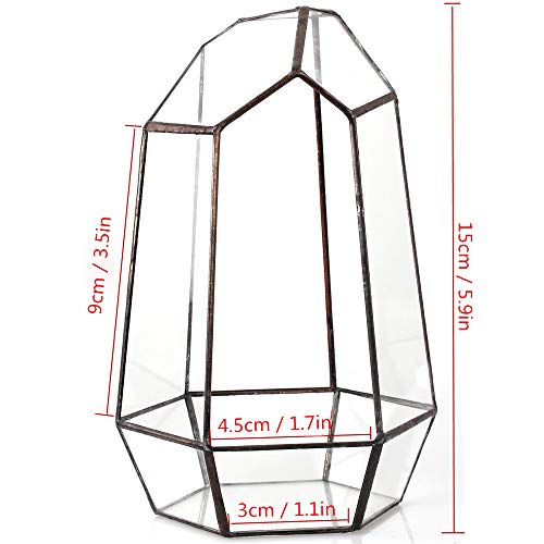 NCYP Small Irregular Geometric Terrarium - 4.1" x 3.5" x 5.9" - Miniature Glass Terrarium Planter for Succulent Air Plants - Tabletop Garden Display Container, Black (No Plants)