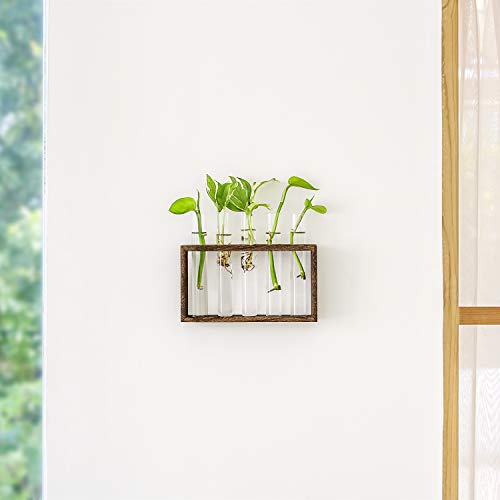 Mkono Wall Hanging Glass Planter Plant Terrarium Modern Flower Bud Vase in Wood Stand Rack Tabletop Terrarium for Propagating Hydroponic Plants, Home Office Decoration with 5 Test Tube, Medium, Brown