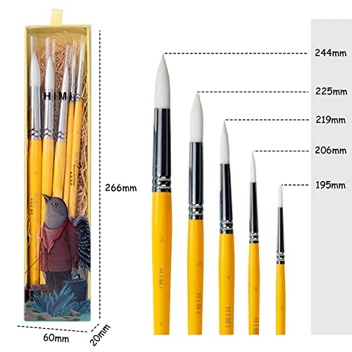 HIMI Little Bird Paint Brushes Set 5 Pcs for Watercolors Paint，Set of 5 Watercolor Paint Brushes for Beginners & Pros, Nice Gift for Art hobbyist Beginners Artists (Yellow,5 Pcs)