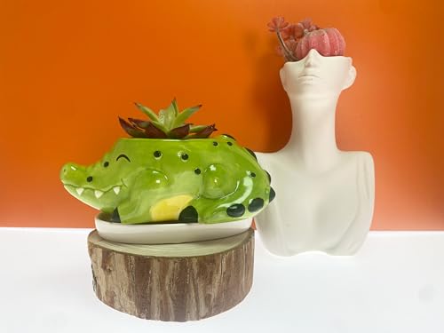 SWONVI Cute Animal Ceramics Planter Small Succulent Pot Alligator Shaped Plant Pot with Ceramic Trayfor Mini Plants Flower Cactus, Smooth Shiny Ceramic - Plants Not Included (1 PCS Alligator)