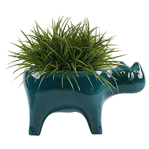 DIYOMR Cat Planter Animal Succulent Pots, Ceramic Cat Mini Flower Pots Cactus/Plants Containers for Home Office Desk Windowsill Decor, Plants Not Included (Dark Green)