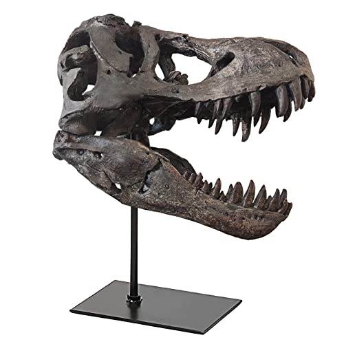 pombconw T Rex Skull, Dinosaur Statue Resin Replica Head Sculptures, Home Office Decorations on Shelf Table Desk Bookshelf, Birthday Party Gift for Kids and Adults,11.8 inch