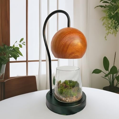 Tiny Plant Terrarium Modern Style Wood Grain DIY Kit Terrarium with Light for Succulent, Moss, Ferns Household Plant Tabletop Decoration Gardening Landscape Desk Lamp for Gardening Starter, Adults