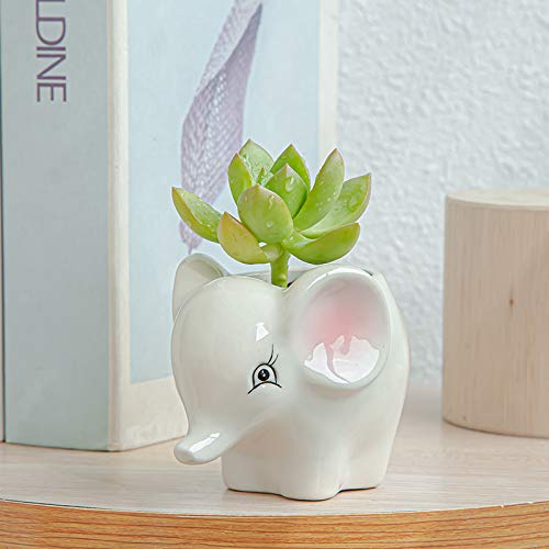 Gaolinci Mini Cute Ceramic Animal Flower Pot Succulent Plant Pot