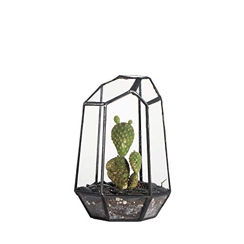 NCYP Small Irregular Geometric Terrarium - 4.1" x 3.5" x 5.9" - Miniature Glass Terrarium Planter for Succulent Air Plants - Tabletop Garden Display Container, Black (No Plants)