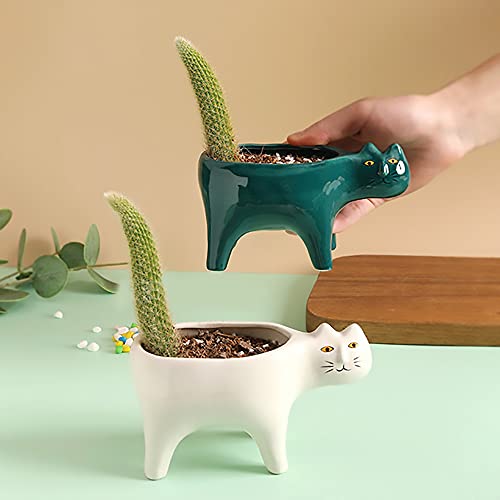 DIYOMR Cat Planter Animal Succulent Pots, Ceramic Cat Mini Flower Pots Cactus/Plants Containers for Home Office Desk Windowsill Decor, Plants Not Included (Dark Green)