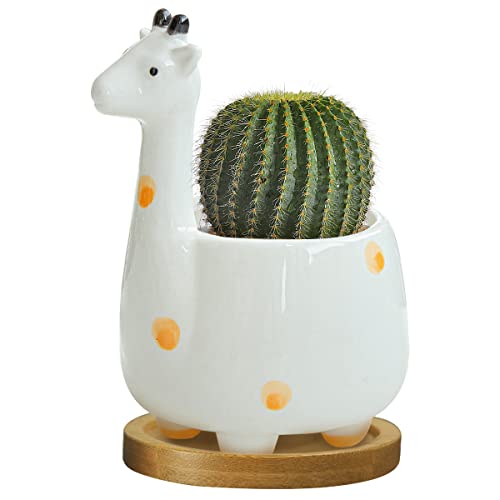 GeLive Giraffe Succulent Planter Indoor Tabletop Ceramic Plant Pot Kitty Ornament Animal Flower Decor Vase with Drainage Tray for Succulents or Mini Cactus