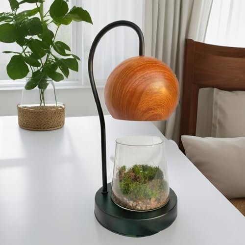 Tiny Plant Terrarium Modern Style Wood Grain DIY Kit Terrarium with Light for Succulent, Moss, Ferns Household Plant Tabletop Decoration Gardening Landscape Desk Lamp for Gardening Starter, Adults