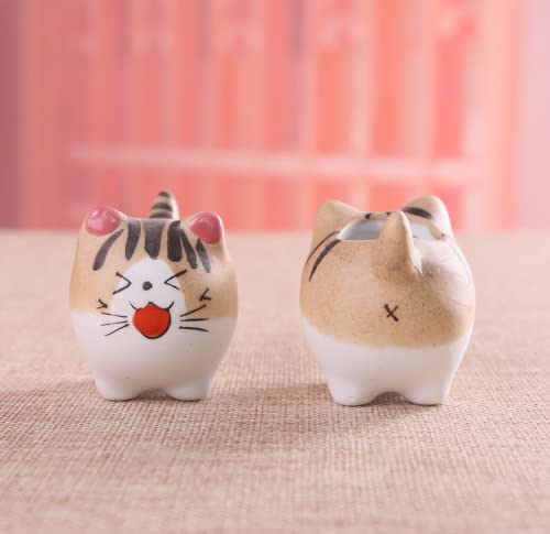 Bufanli Mini Cute Cat Cartoon Ceramic Succulent Pots Planters with Drainage Hole for Small Plants Animal Lovers Home and Office Desk Decoration Set of 5